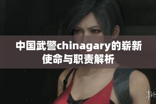 中国武警chinagary的崭新使命与职责解析