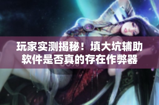 玩家实测揭秘！填大坑辅助软件是否真的存在作弊器