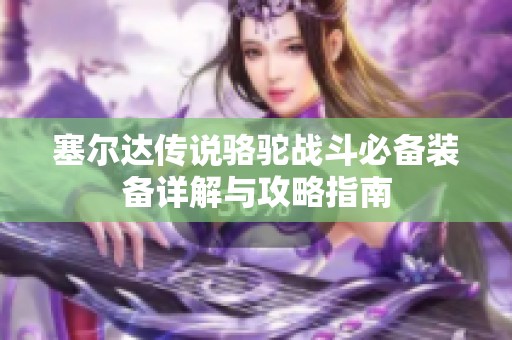 塞尔达传说骆驼战斗必备装备详解与攻略指南