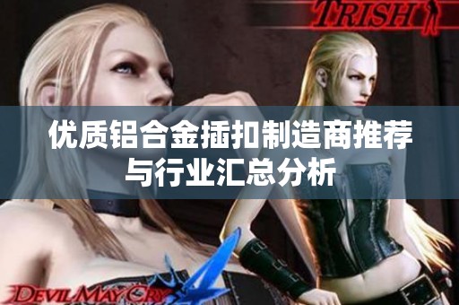 优质铝合金插扣制造商推荐与行业汇总分析