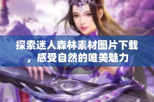 探索迷人森林素材图片下载，感受自然的唯美魅力