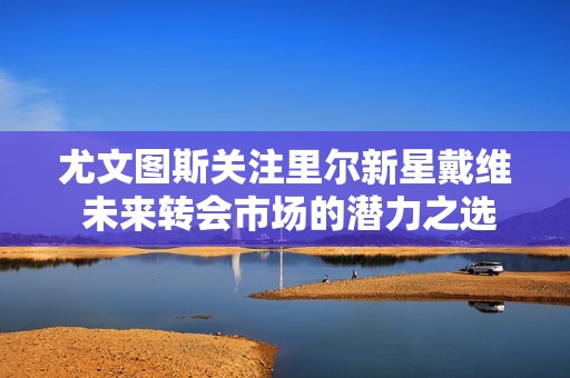 尤文图斯关注里尔新星戴维 未来转会市场的潜力之选