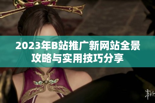 2023年B站推广新网站全景攻略与实用技巧分享