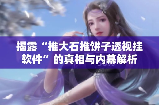 揭露“推大石推饼子透视挂软件”的真相与内幕解析