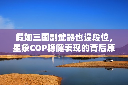 假如三国副武器也设段位，星象COP稳健表现的背后原因解析