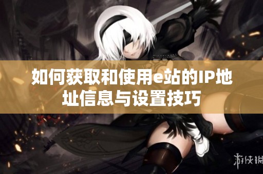 如何获取和使用e站的IP地址信息与设置技巧