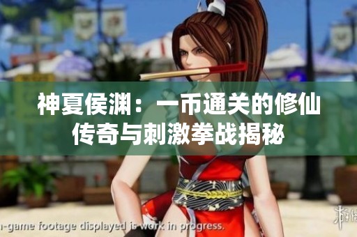 神夏侯渊：一币通关的修仙传奇与刺激拳战揭秘