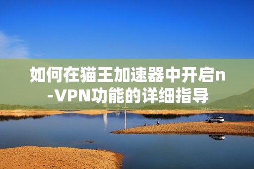 如何在猫王加速器中开启n-VPN功能的详细指导