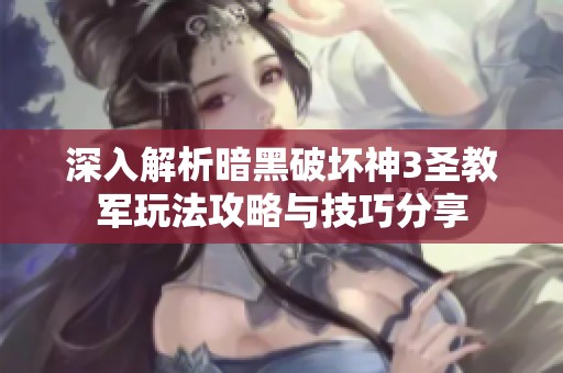 深入解析暗黑破坏神3圣教军玩法攻略与技巧分享