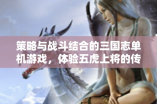 策略与战斗结合的三国志单机游戏,体验五虎上将的传奇故事 策略与战斗结合的三国志单机游戏,体验五虎上将的传奇故事